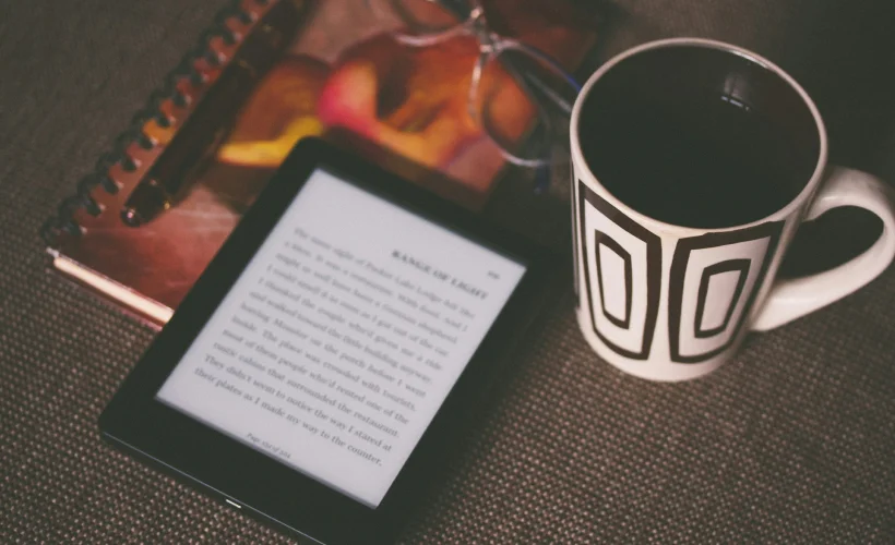 Ler um ebook